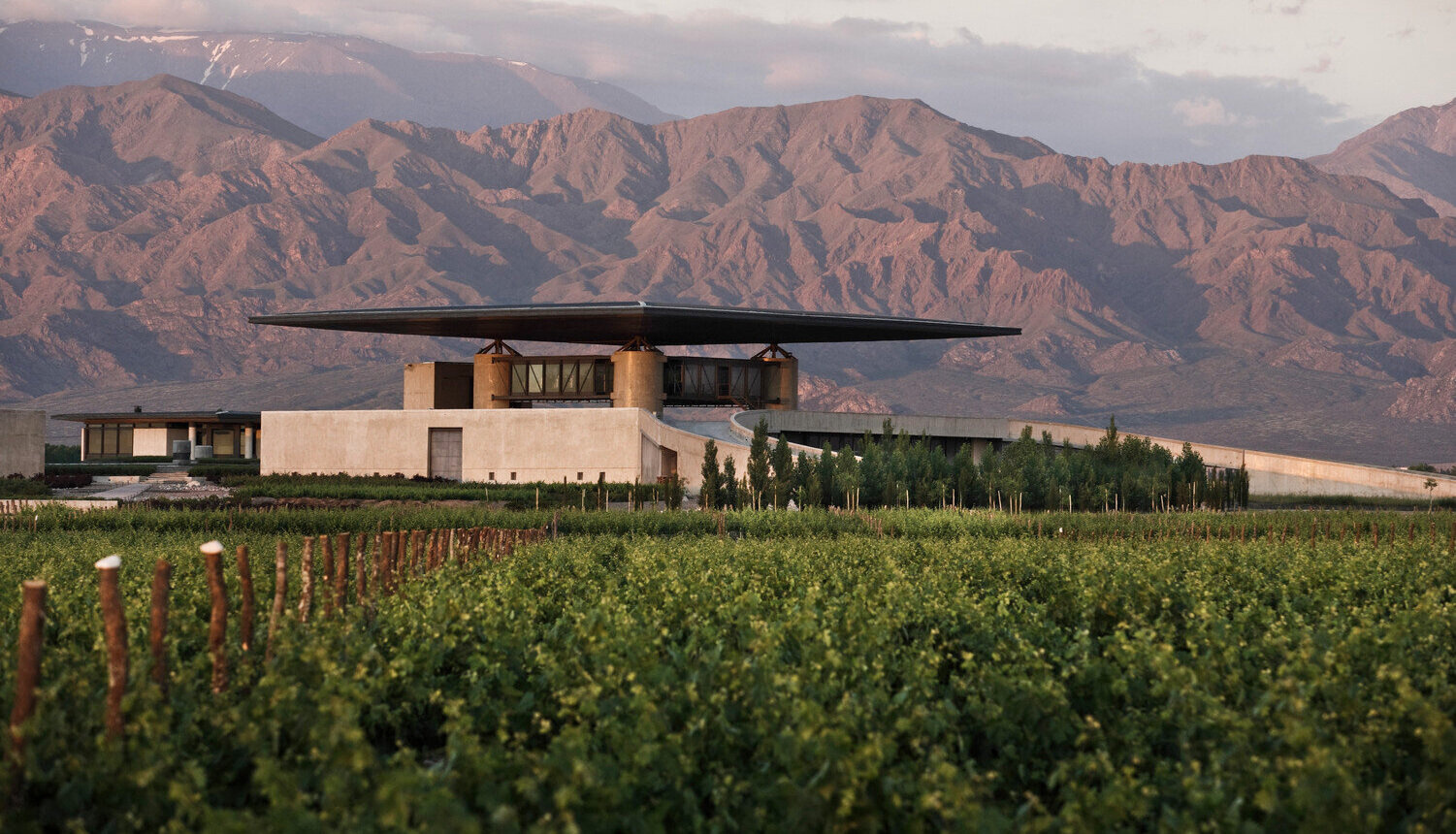 Viñedos del Valle de Uco con la cordillera de fondo