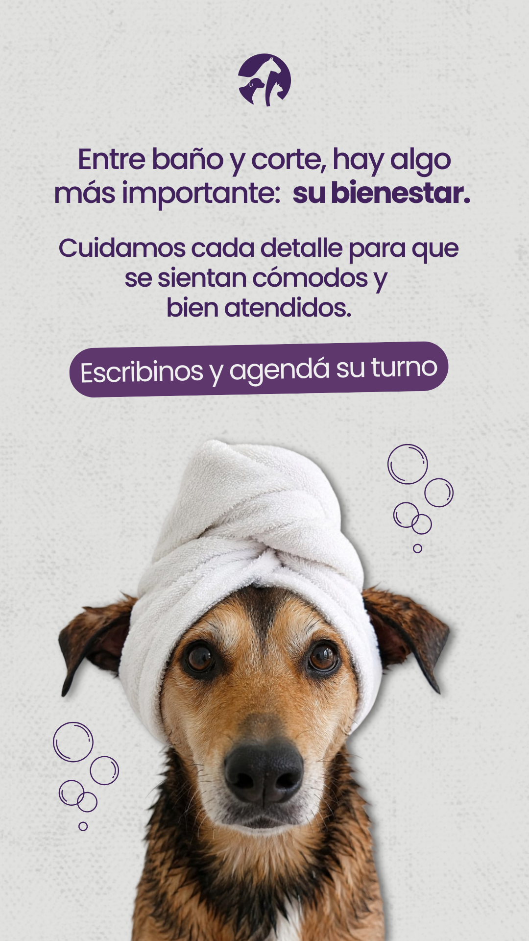 Servicio de baño y estética canina en VETE